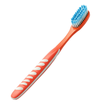 Standard Toothbrush
