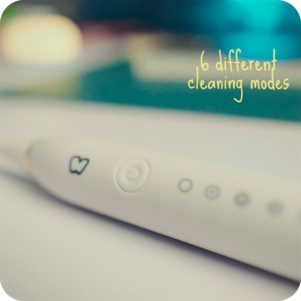 Electro Pro Toothbrush